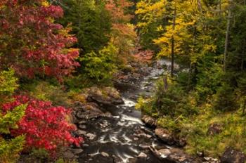 New York, Adirondack State Park Stream And Forest In Autumn | Obraz na stenu