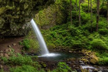 Ponytail Falls, Oregon | Obraz na stenu