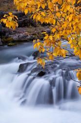 Rogue River Waterfalls In Autumn, Oregon | Obraz na stenu