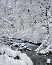 Snow On Boulder Creek, Oregon | Obraz na stenu