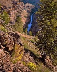 Deschutes Canyon Landscape, Oregon | Obraz na stenu