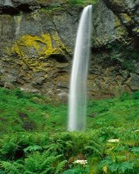 Elowah Falls, Oregon | Obraz na stenu