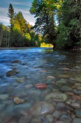 Sandy River Landscape, Oregon | Obraz na stenu