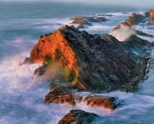 Shore Acres State Park Sunset, Oregon | Obraz na stenu