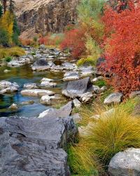 Fall Colors Along The John Day River | Obraz na stenu