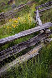 Split Rail Fence In Smith Rock State Park, Oregon | Obraz na stenu