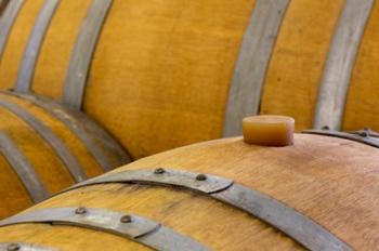 Oregon, Elk Cove Winery Oak Barrels Close-Up | Obraz na stenu