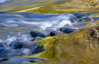 Oregon Abstract Of Autumn Colors Reflected In Wilson River Rapids | Obraz na stenu