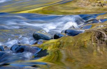 Oregon Abstract Of Autumn Colors Reflected In Wilson River Rapids | Obraz na stenu