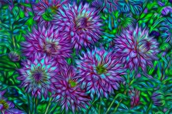 Oregon, Shore Acres State Park, Abstract Of Dahlias In Garden | Obraz na stenu