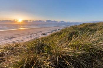 Dunes National Recreation Area, Oregon | Obraz na stenu