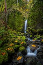 Mossy Grotto Falls, Oregon | Obraz na stenu