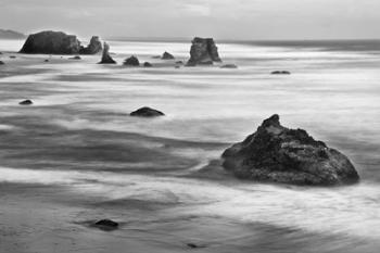 Bandon Beach, Oregon (BW) | Obraz na stenu