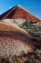 Oregon, John Day Fossil Beds National Monument The Undulating Painted Hills | Obraz na stenu