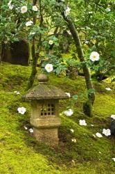 Spring Pagoda, Portland Japanese Garden, Oregon | Obraz na stenu