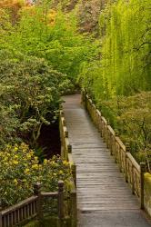 Bridge At Crystal Springs Rhododendron Garden, Portland, Oregon | Obraz na stenu