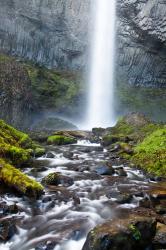 Latourell Falls And Creek, Columbia Gorge, Oregon | Obraz na stenu