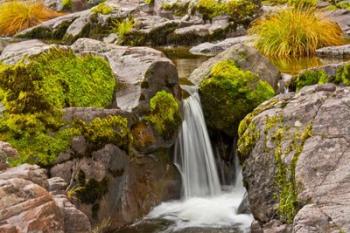 Autumn At Little Falls, Umpqua National Forest, Oregon | Obraz na stenu