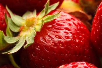 Close-Up Of Fresh Strawberry | Obraz na stenu