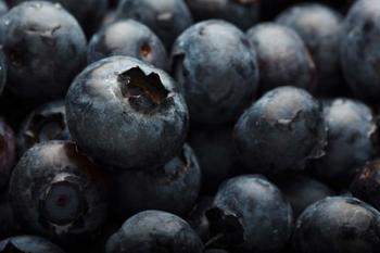 Close-Up Of Dark Blueberries | Obraz na stenu