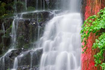 Coopey Falls, Oregon | Obraz na stenu