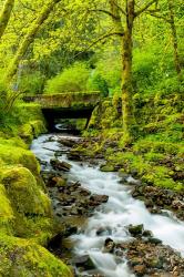 Wahkeena Falls, Oregon | Obraz na stenu