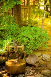 Japanese Garden, Dundee, Oregon | Obraz na stenu