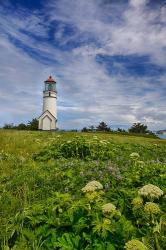 Cape Blanco Lighthouse, Oregon | Obraz na stenu