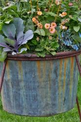 Planter, Chanticleer Garden, Pennsylvania | Obraz na stenu