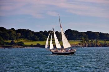 Sailing in Newport, Rhode Island | Obraz na stenu