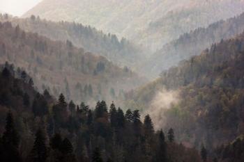 Mist Rises In A Valley Of Tree-Lined Ridges | Obraz na stenu