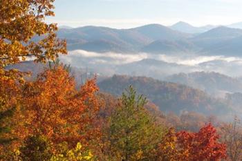 Morning Light Fog Viewed From Foothills Parkway | Obraz na stenu