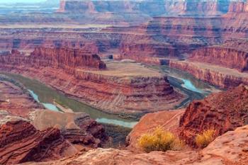 Colorado River Gooseneck Formation, Utah | Obraz na stenu