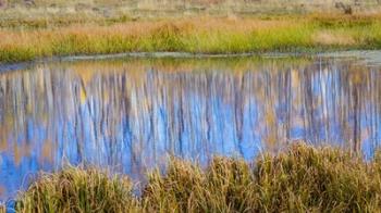 Chriss Lake Landscape, Utah | Obraz na stenu