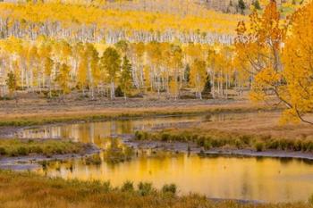 Fishlake National Forest Landscape, Utah | Obraz na stenu