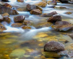 Water Flowing Over Rocks In The Little Cottonwood Creek | Obraz na stenu