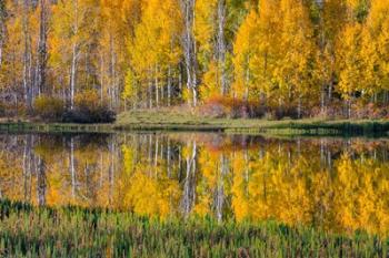 Round Lake Panorama, Utah | Obraz na stenu