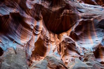 Paria Canyon, Vermillion Cliffs Wilderness, Southern Utah | Obraz na stenu