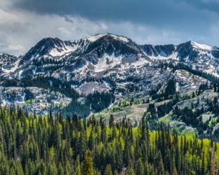 Snow Covered Mountain From Guardsman's Pass Road | Obraz na stenu