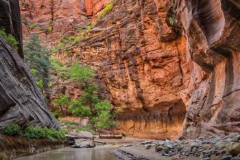 Zion Narrows, Utah | Obraz na stenu