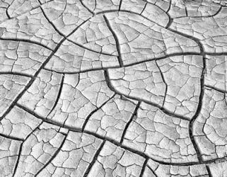 Wahweap Mud Cracks, Arizona | Obraz na stenu