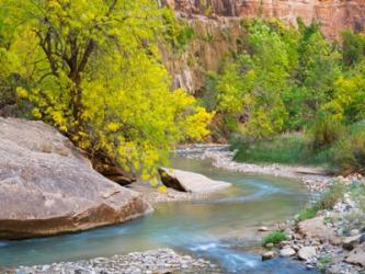 Utah Zion National Park, Virgin River | Obraz na stenu