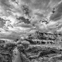 Sulphur Creek, Capitol Reef National Park, Utah (BW) | Obraz na stenu