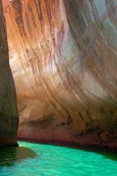 Detail Of Escalante River Tributary, Utah | Obraz na stenu