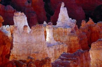 Hoodoos At Sunrise Point, Bryce Canyon National Park, Utah | Obraz na stenu