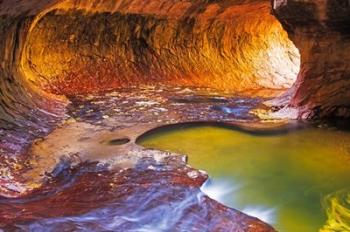 The Subway Along North Creek, Zion National Park, Utah | Obraz na stenu