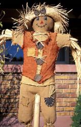 Scarecrow in Suburban Yard at Halloween, Logan, Utah | Obraz na stenu