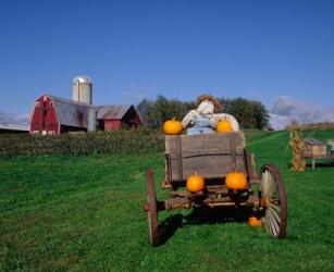 Pumpkin Man and Farm, Vermont | Obraz na stenu