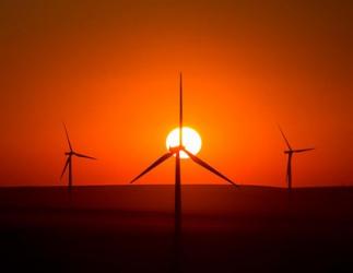 Windmills At Sunset, Washington | Obraz na stenu