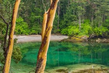 Secluded Bay On Sucia Island, Washington State | Obraz na stenu